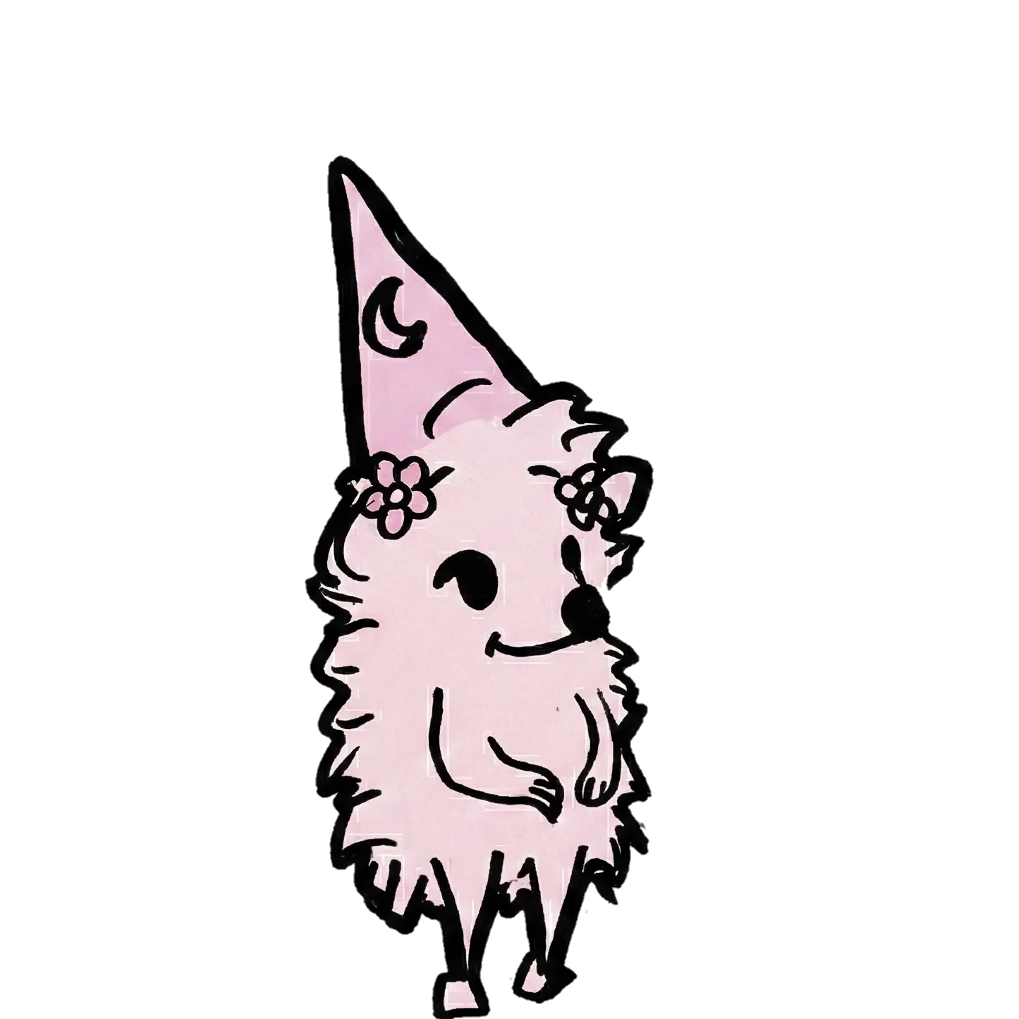 Hedgey Wizard